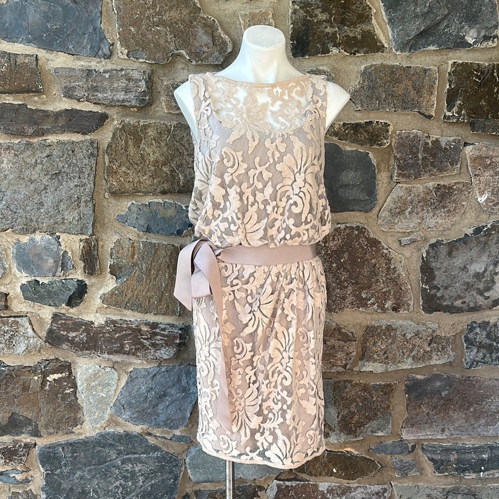 Tadashi Shoji Lace Overlay Dress Beige Nude Blouson Waist Size 8 Cocktail - Picture 2 of 7